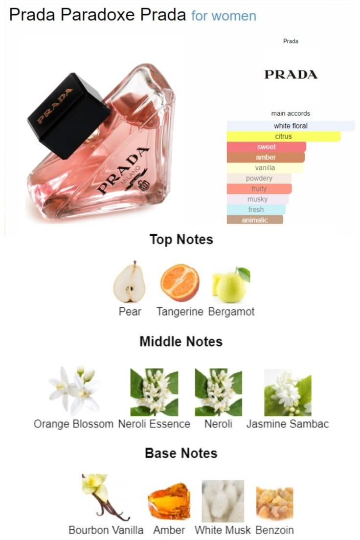 Prada Paradoxe