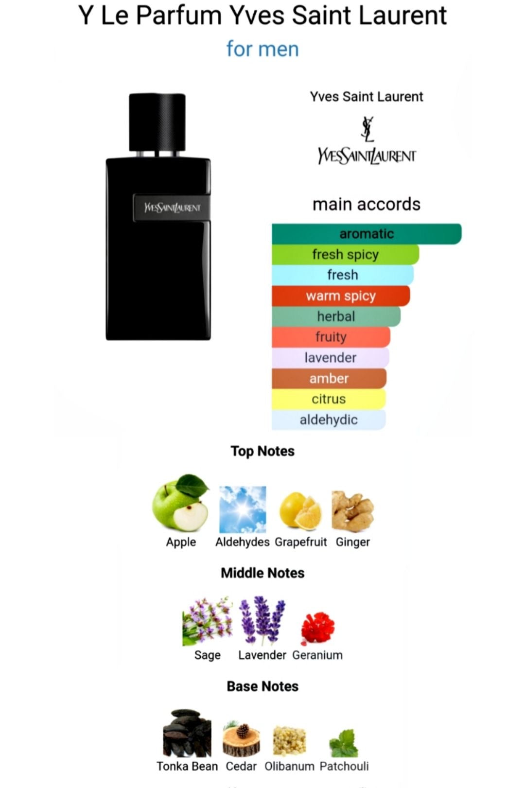 Y LE PARFUM